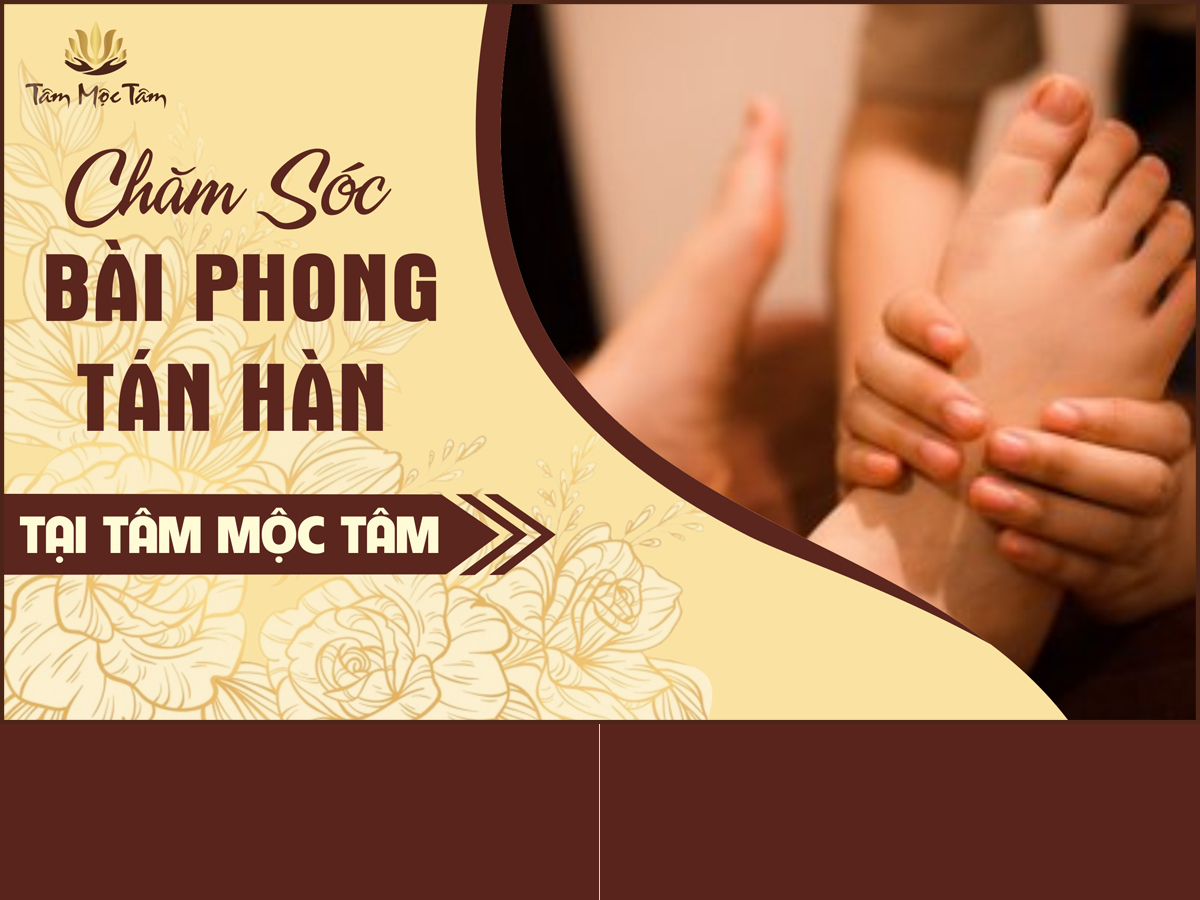 CHĂM SÓC BÀI PHONG TÁN HÀN