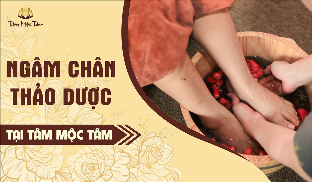 NGÂM CHÂN THẢO DƯỢC – 30 PHÚT