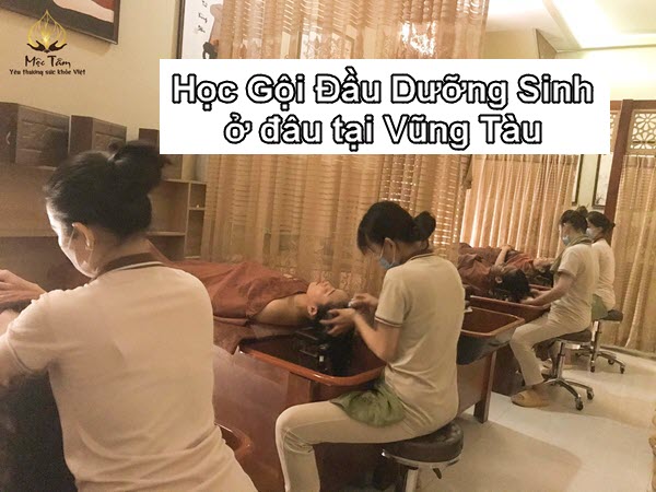 Học Gội Đầu Dưỡng Sinh ở đâu uy tín tại Vũng Tàu