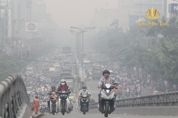 Cư dân đô thị đối mặt với nguy cơ quá tải độc tố từ môi trường và lối sống hiện đại